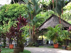 Raffles Park (D11), Detached #438559421